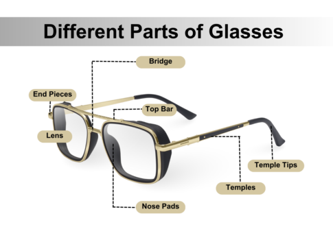 What Are Glasses Made of：All the Different Parts of Glasses